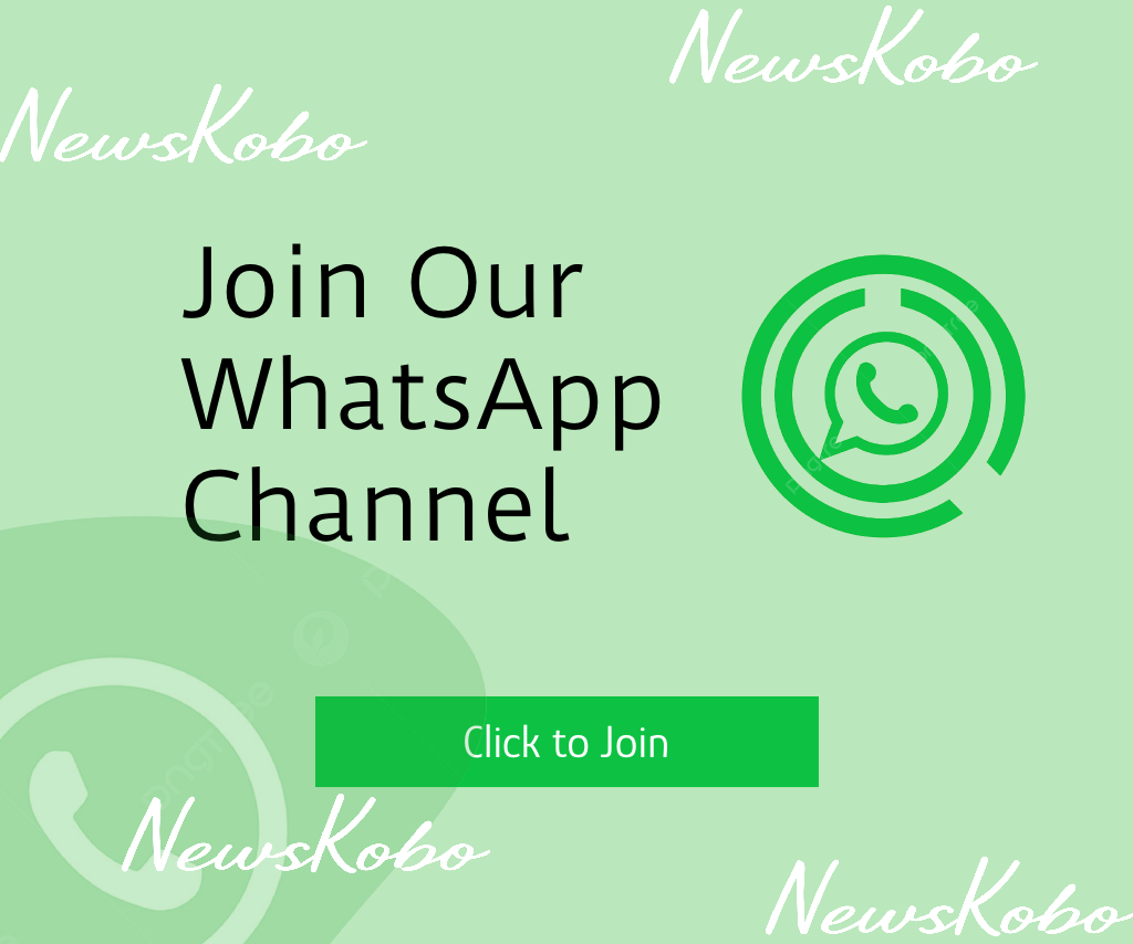 Newskobo whatsapp