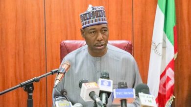 Gov babagana umaru