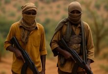 Nigeria bandits