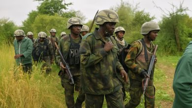 Nigerian troops 2
