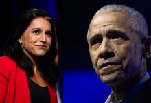Tulsi gabbard obama