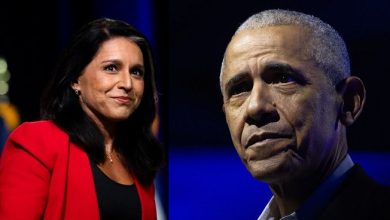 Tulsi gabbard obama