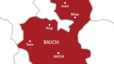 Bauchi 821