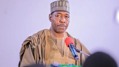 Borno gov