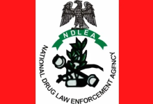 Ndlea 293