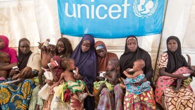 Unicef 82