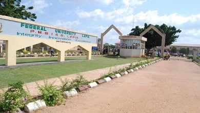 Federal University Lafia