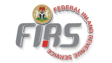 Firs 928311