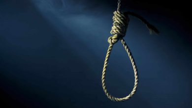 Hang 9392