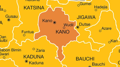 Kano 2921