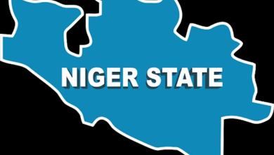 Niger map