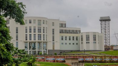Obasanjo librry