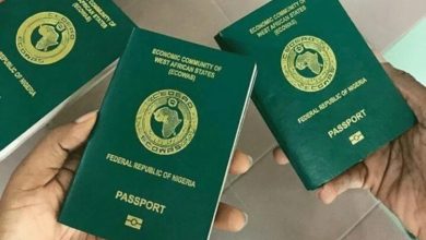 Passport 9343