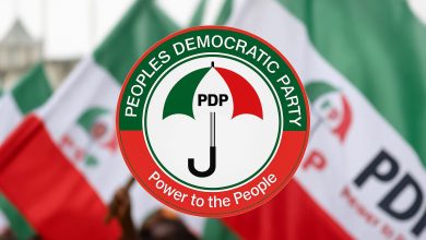 Pdp party