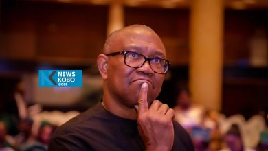 Peter obi 82