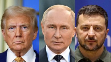 Trump putin volodymyr