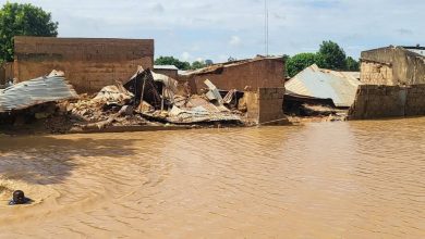 Yobe flood