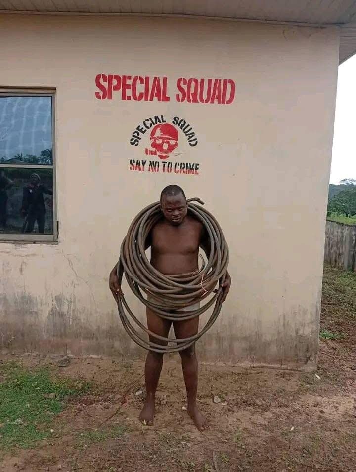 28763892338