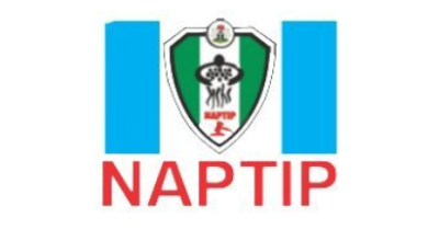 Naptip 2