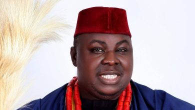 290310593 453117596819427 8682714016889806058 n