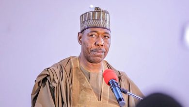 Borno state gov 21
