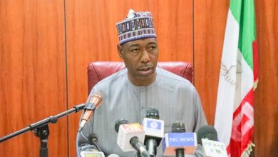 Borno state gov 8811