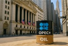 Oil