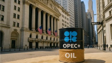 Oil