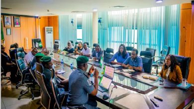 Satelite meeting