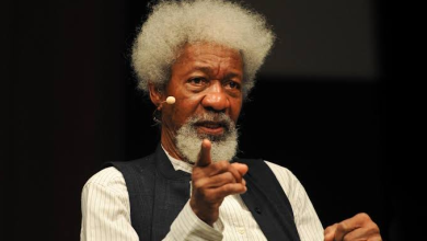 Wole soyinka 241