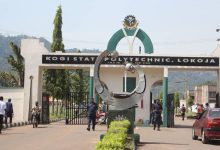 Kogi poly 342