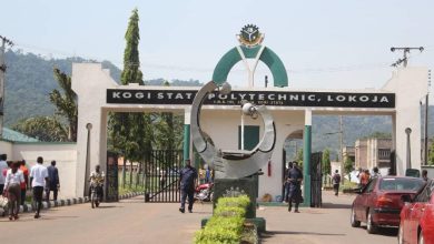 Kogi poly 342