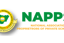 Napps 2833