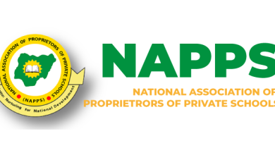 Napps 2833