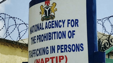 Naptip 832