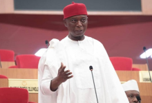 Ned nwoko 2