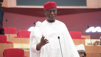 Ned nwoko 2
