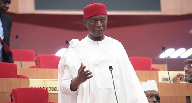 Ned nwoko 2