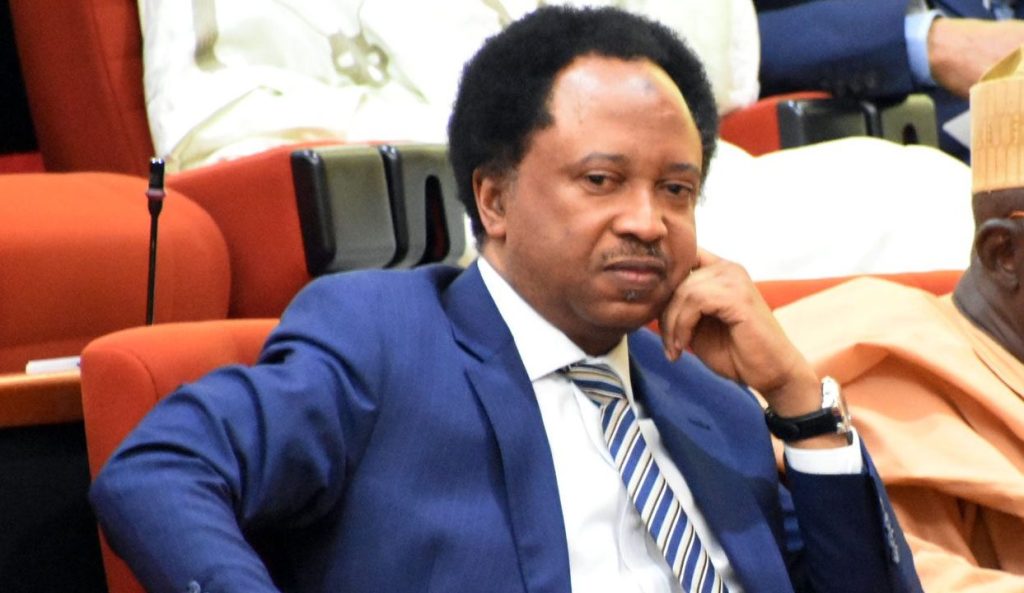 Shehu sani 768