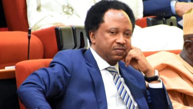 Shehu sani 768