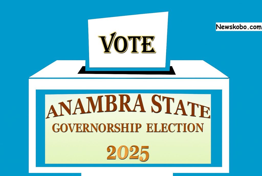 Anambra Election Updates November 2025