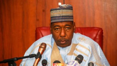 Borno State Governor, Prof. Babagana Umara Zulum