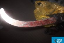 Man Arrested for Allegedly Killing Wife in Sokoto