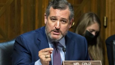 United States Senator Ted Cruz